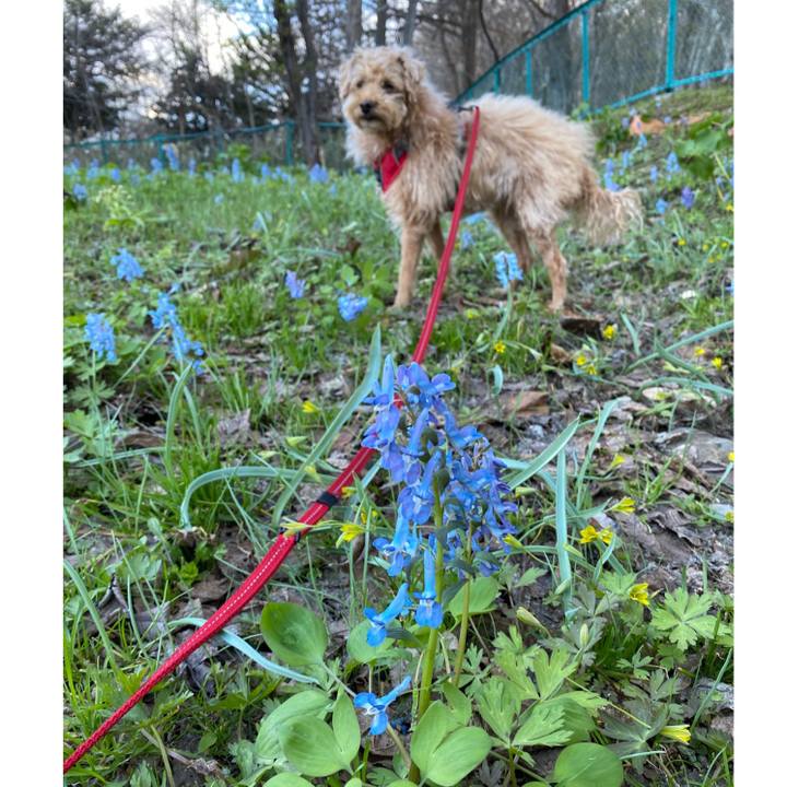 D90a7a7a 8885 4365 a21e 909d711b528b 1682151240486