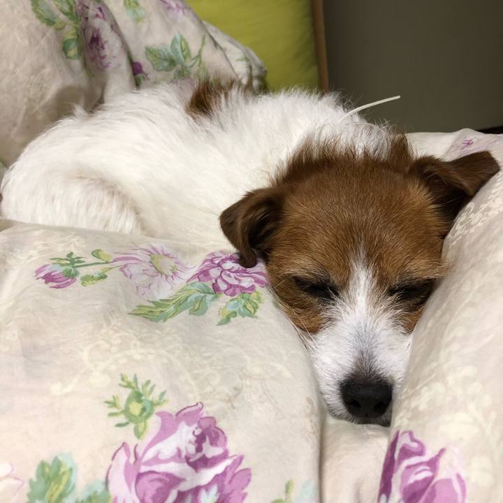 D90a86d5 bd44 457c b6ad 1163b64973a8 1556636374142