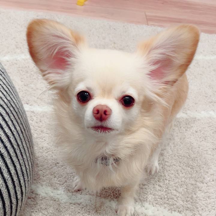 D90aba27 d323 4cff 8469 66e7e7768503 1731930539165