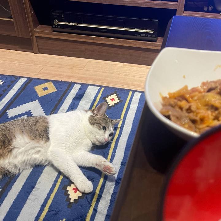 D90b0d82 59bf 4cd2 a252 9736c1a5eccd 1626952717807