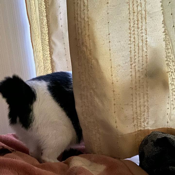 D90b3ad0 501a 4a30 9ef9 7203d946533e 1572953770797