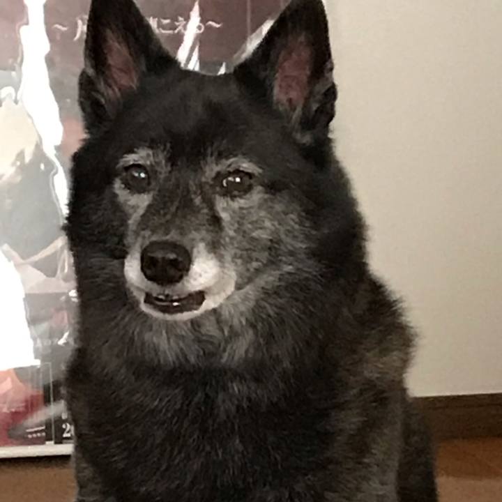 D90b3e2a 5f9c 4442 a367 88feec69db4e 1540092115903