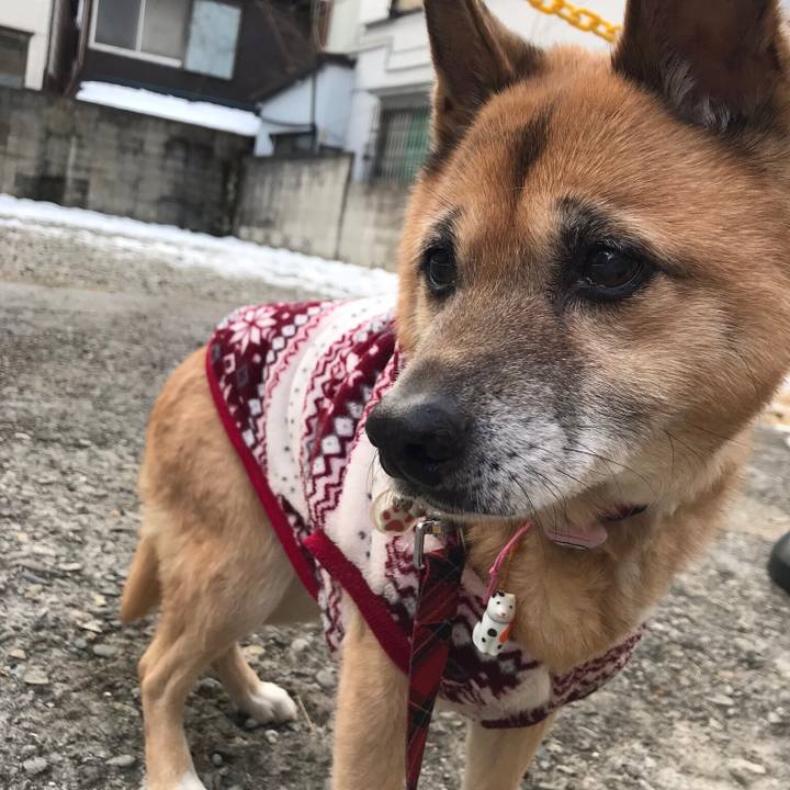 D90b7b8a 8bd8 45be 97b0 616d1e8183ad 1517267602177