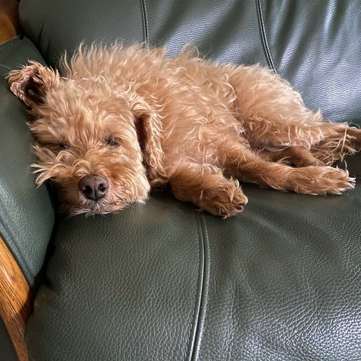 D90b8dbe 2854 4c12 8984 3940922747bd 1690236627463