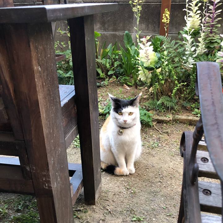 D90b9b0d 5ece 4f1f 98c9 cd1d6f2f20ac 1616753101296