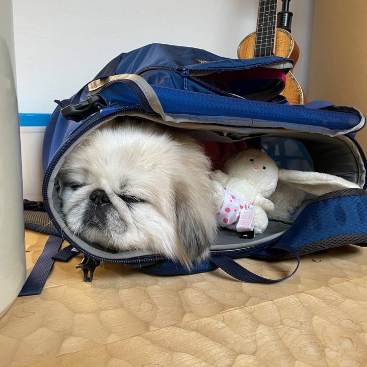 D90bca9c d1cd 4a9c 9588 0d4dae501ffd 1708696884688