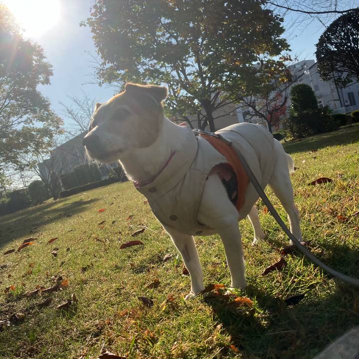 D90be8f7 3a94 4ba0 bb09 1f37c689ebb5 1699056924038