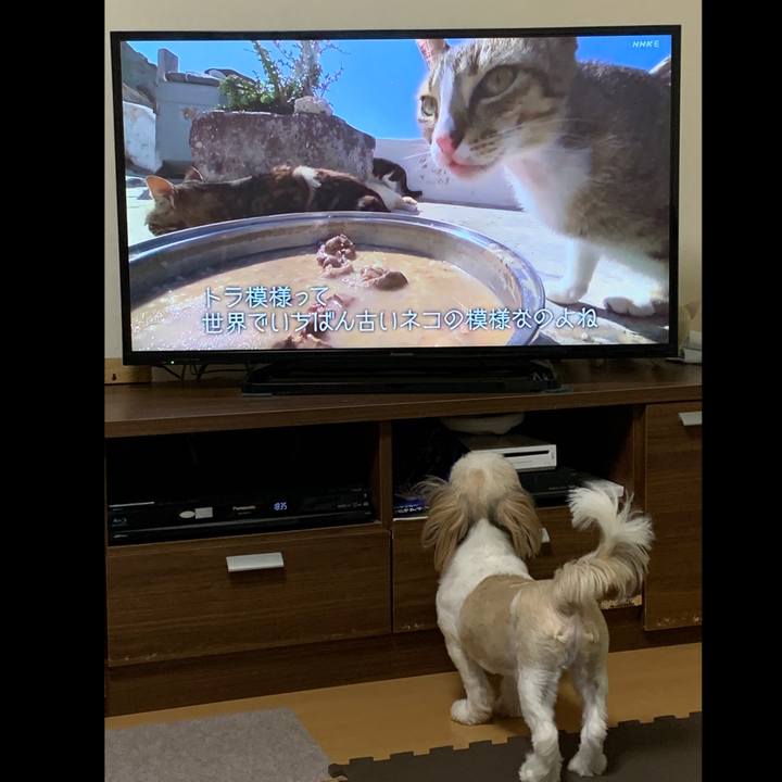 D90c056f b182 470d 8f97 a255e93b4619 1633253981003