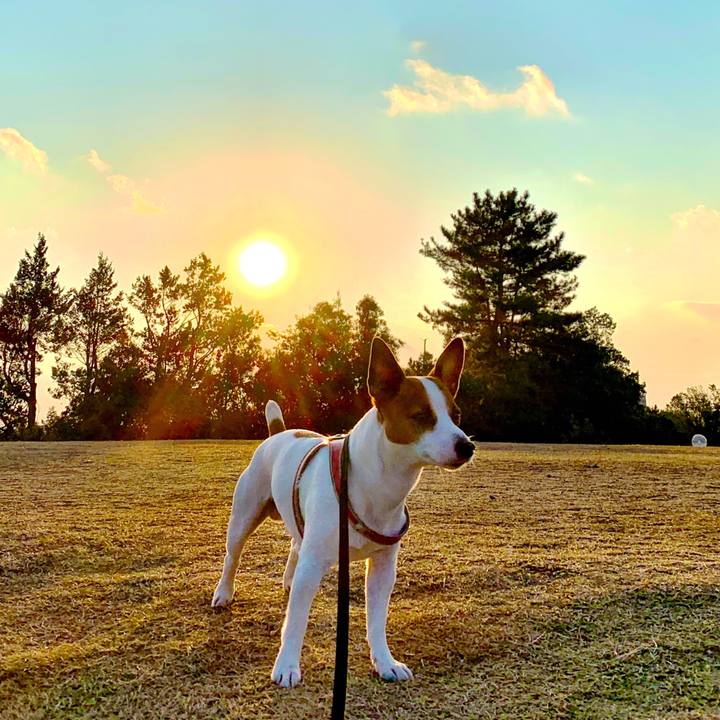 D90c16e5 d233 4653 9f12 63bc713c8446 1546687372321