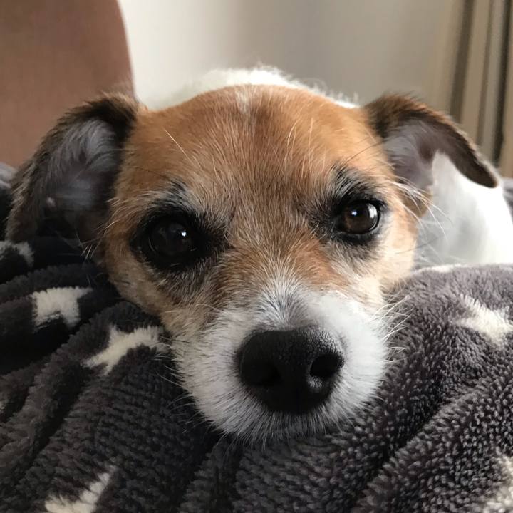 D90c1fb2 c64f 4979 acc0 006fdaf79f1c 1543374565510