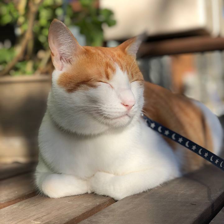 D90c329a 1ee2 467a a610 1a76c083733e 1539336812788