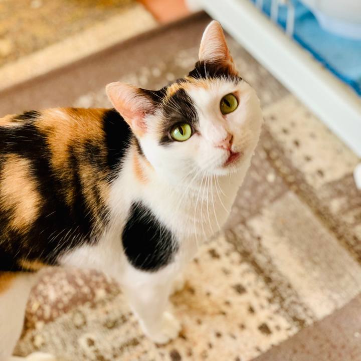 D90c82c7 fcad 44af a450 aa7b4b7200d2 1605661888470