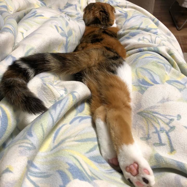 D90cbb95 2ed0 4993 85f2 dd133ea8574d 1523100354127