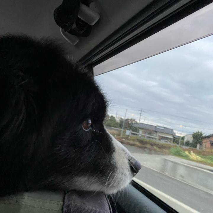 D90cf793 379d 45ce add1 3f3e8c0f215d 1670018923583