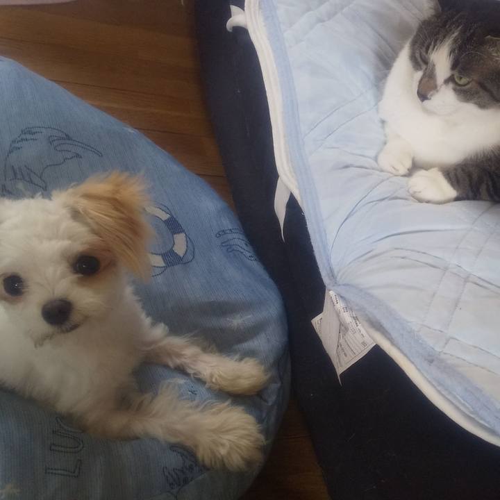 D90d1b12 ec39 4405 8a05 cf66e9b31477 1687654449955