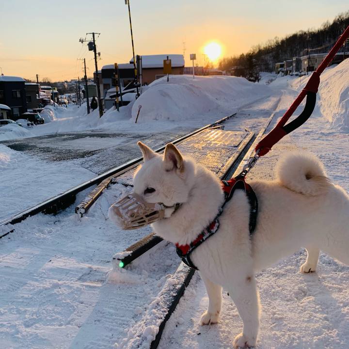 D90d2149 e8f7 4a9c abfb d6af8249a720 1676931119773