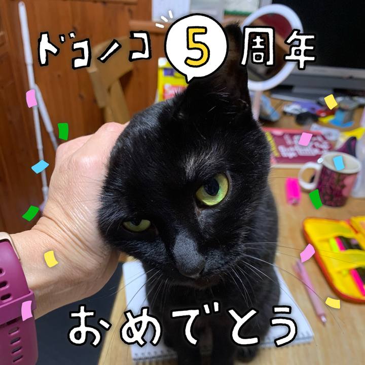 D90d38bd 6b23 4a6c a273 61ab5af818a9 1622911956669