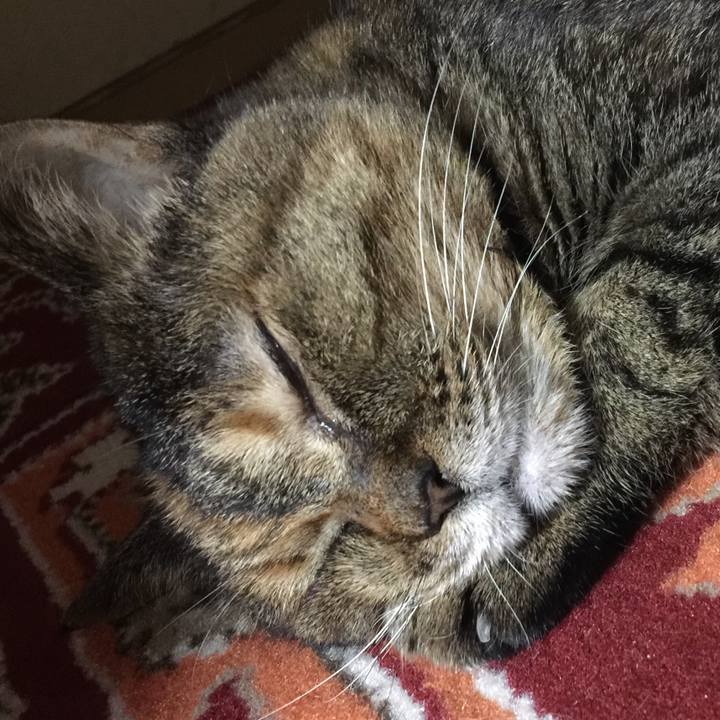 D90d518a fa87 4204 8418 6e0343a52dde 1648293964954