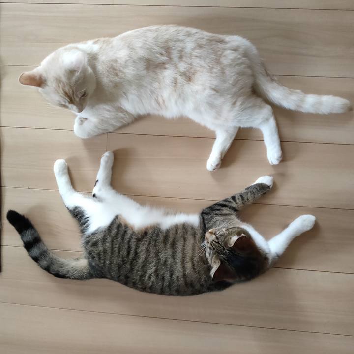 D90d565f ea34 450d 883a 7e121aff486f 1662509149134