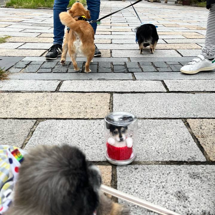 D90d8b1b e840 44d2 af97 1383c7b894a1 1661046428519