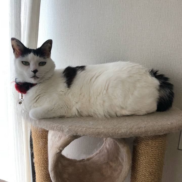 D90d8b7f 2c3f 463a 91be a83ef5bc9469 1529536755097