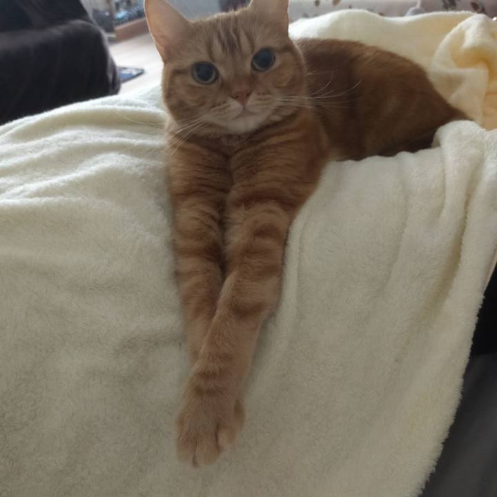 D90d9284 5f7f 4447 a753 5528a52df783 1597638062356