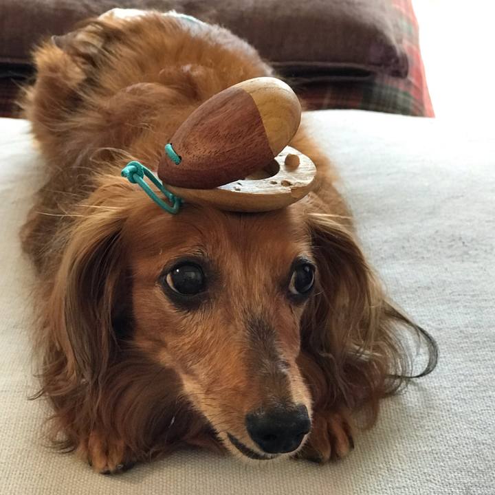 D90e0fb2 dd5f 4a42 a64e a17e491619f0 1598918148783