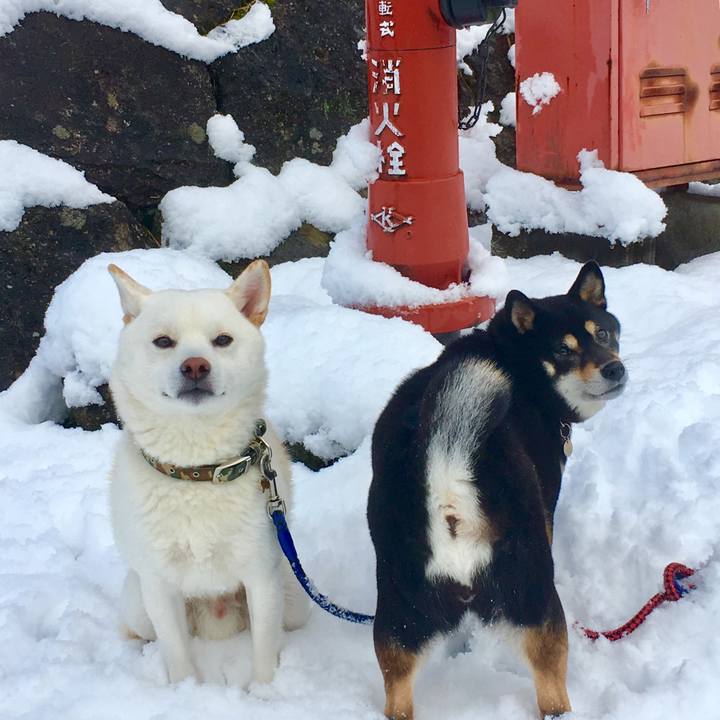 D90e3b05 bf48 42a6 9550 1eb40ccbed06 1515913558622