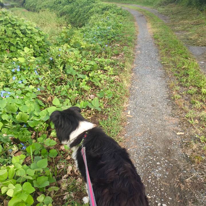 D90ebb94 7a6d 477b b169 fd6bb2498ac3 1569021934614