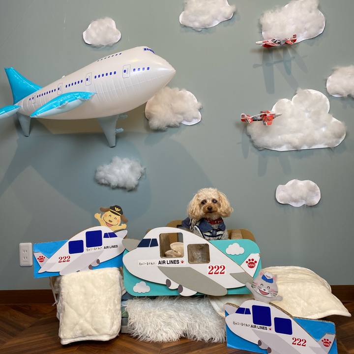 D90ec4fb 13e6 49c9 98f8 d48c0d98b656 1610596534294