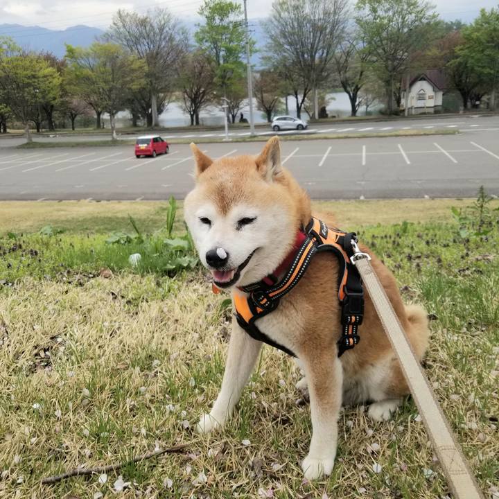 D90eea46 8831 4159 b87f 1f9c785c26ed 1713766872425