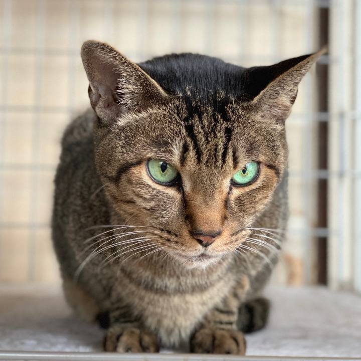 D90ef93b b6cf 4a99 bdc2 2c9210b91b5f 1577149835577