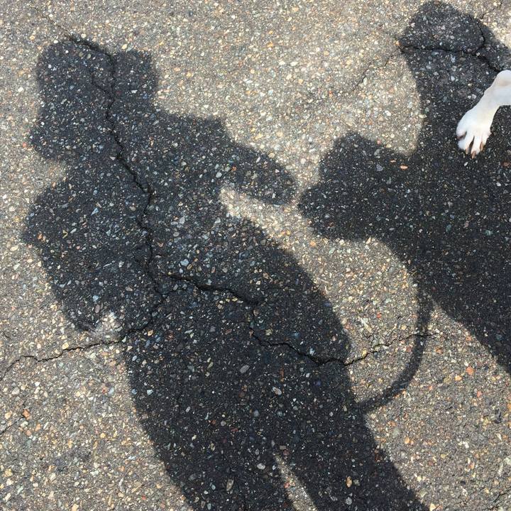 D90f21df af83 4b24 905c 3aefeaa217ea 1536113274134