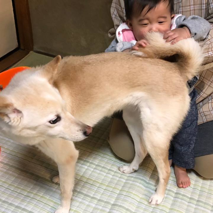 D90f2277 7890 4876 8a45 a02cb1c8de28 1609675259989