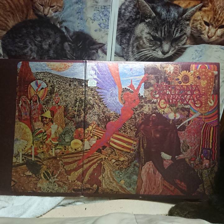 D90f3e2f 3ab0 416f a8fd e1035330ebf7 1618929853147