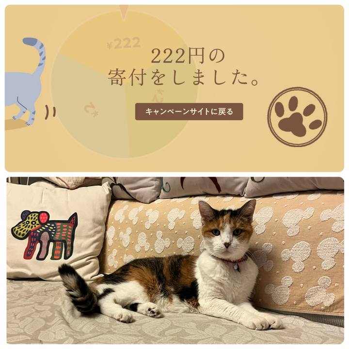 D90f5ad5 5bf2 431d ac45 f3f970b0cc96 1739780693146