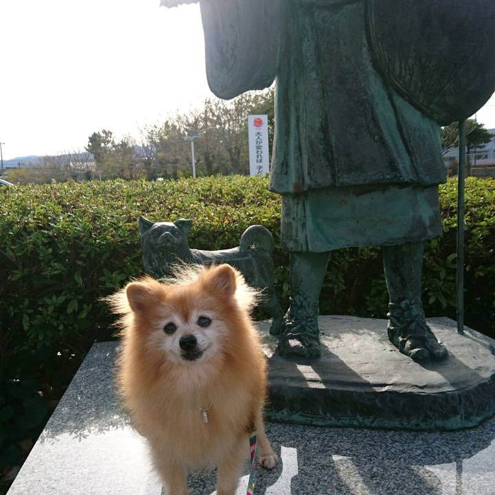 D90f7ea6 38b7 495a 8f96 49c12a322ecd 1574668433023