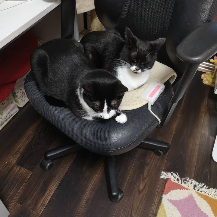 D90f9258 19f2 45e8 a2a6 4562476b7478 1539348554823