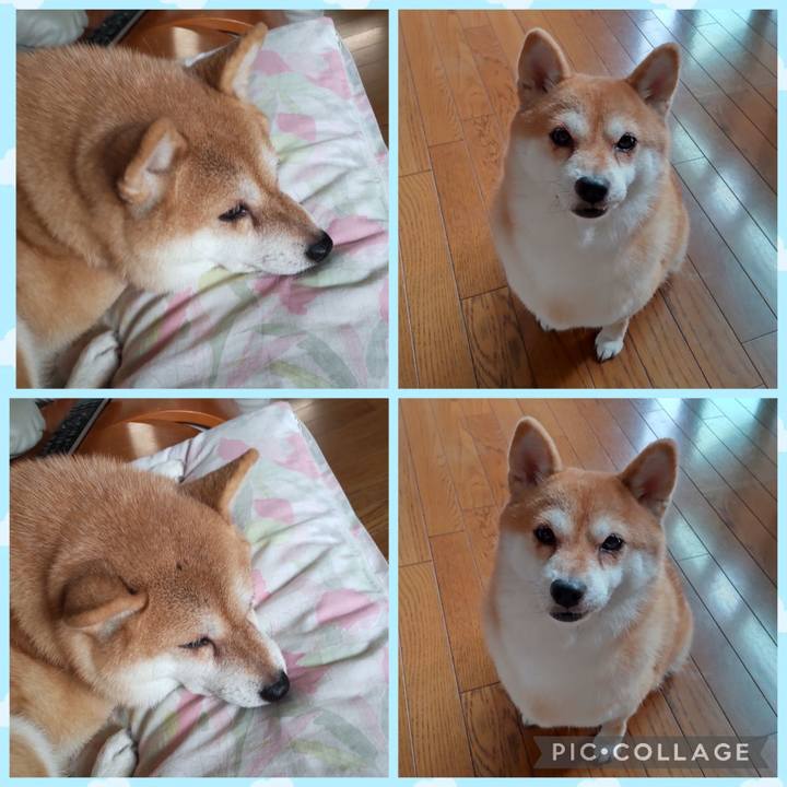 D90fb6ed f272 4511 8c48 06f41e7713ce 1758603979766