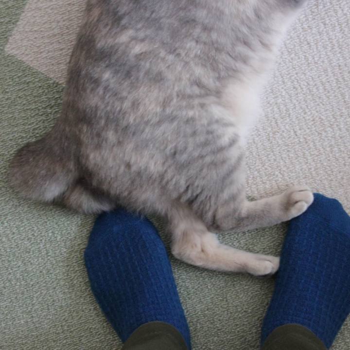 D90fe18c ef5b 4b32 bae6 7f6a57c58b6b 1584260597609