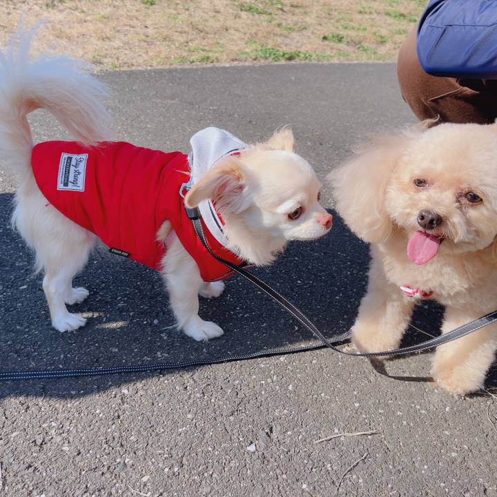 D90ff2f0 2b0f 4909 bc31 60d0ffdf876a 1763645737525