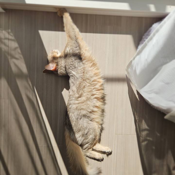 D90ff441 71d2 4a93 827b e7f13ab75d35 1774063588121