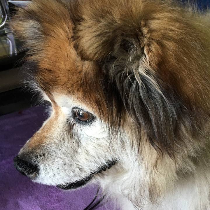 D9101168 8d3e 43b5 9d1d 8f2383174407 1595492936202