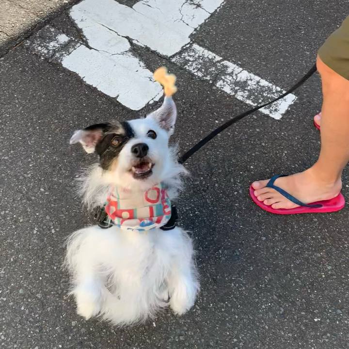 D9101a83 4745 4f5a 89a0 121a97cbcde0 1753486704790