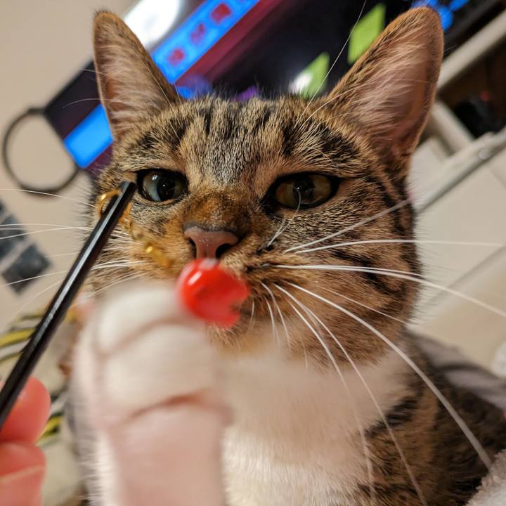 D9102f6d 8a00 4f65 a0ae bafd4a80e502 1688480944339