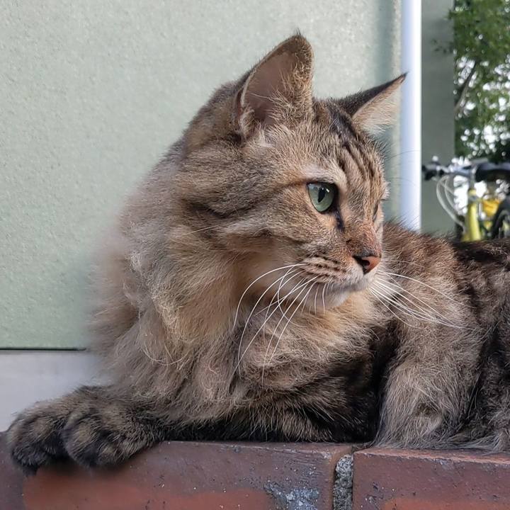 D91036f4 3f65 4dfc 98fe 23babeba7c6a 1758582315168