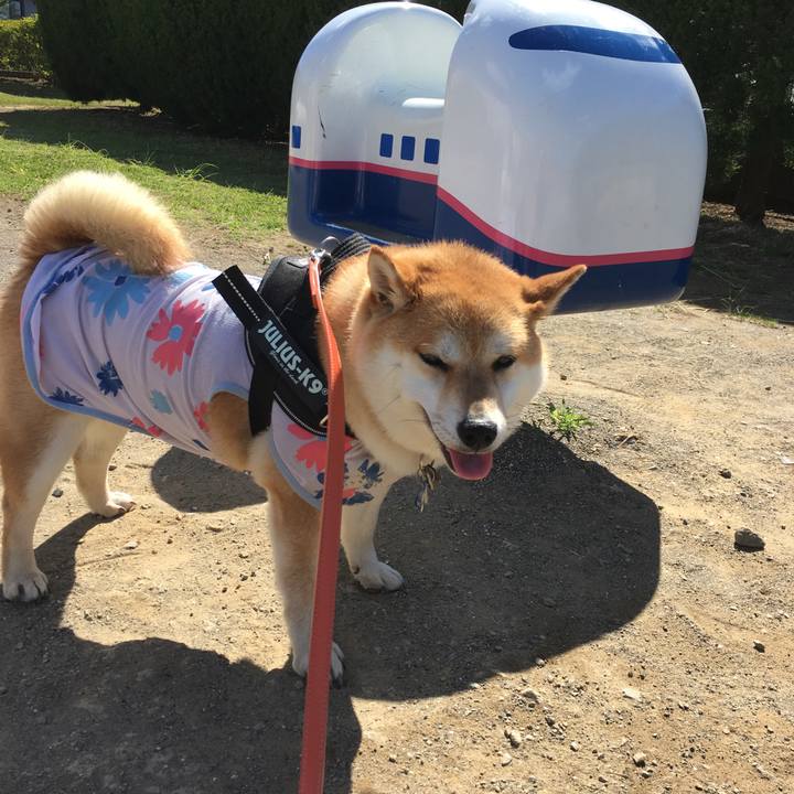 D9105436 9fcd 47d2 892c c49036bba503 1526772634245