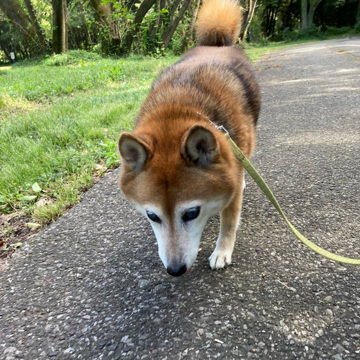 D9105f7e 9419 4761 b234 ab9a10cc9e40 1696997929517