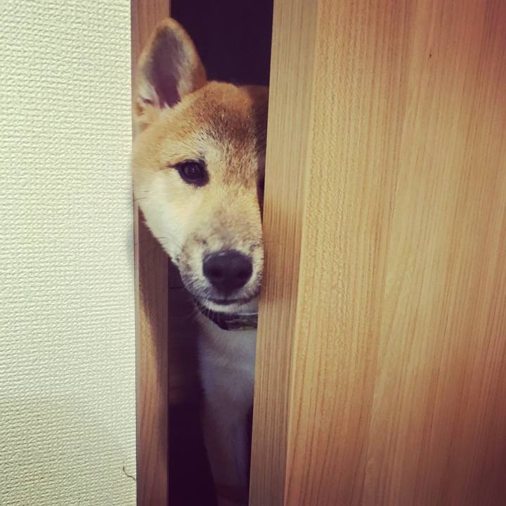 D9106b0b 0f8c 4c0e b1a2 2c6da7e0894a 1510366048171