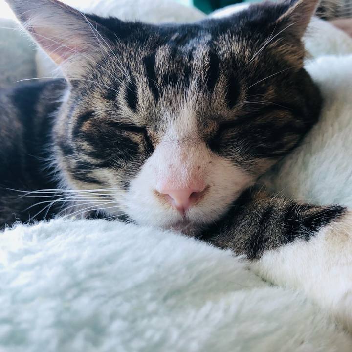 D91082e2 8233 407d 9274 05b79671809e 1760770712562